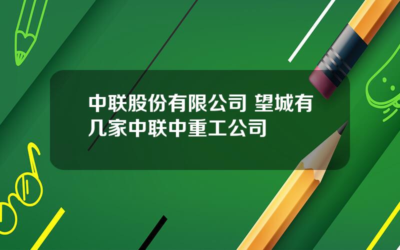 中联股份有限公司 望城有几家中联中重工公司